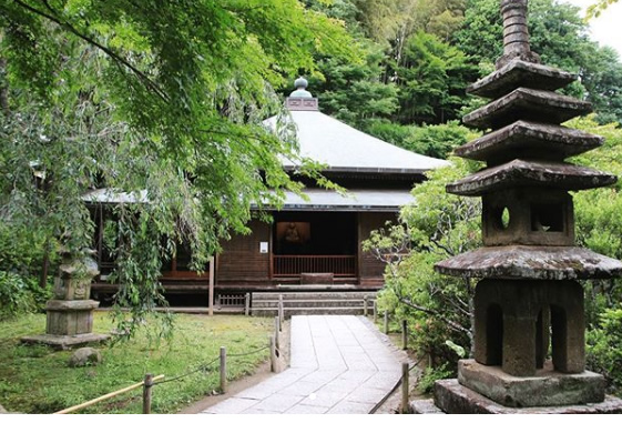 陽運寺の縁切り効果は最強 縁切り寺の東京の体験集