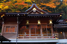 縁結び神社 京都府の恋愛神社