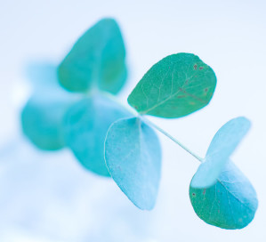 うつ病の克服方法 きっかけ 体験談